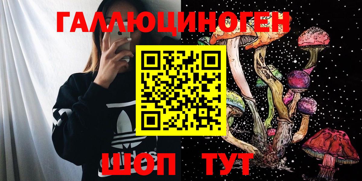 Псилоцибиновые грибы GOLDEN TEACHER Нижнеудинск