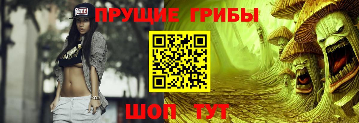Галлюциногенные грибы GOLDEN TEACHER  Вход с VPN  Псилоцибиновые грибы MAGIC MUSHROOMS  Нижнеудинск 